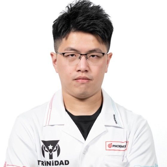 TRiNiDAD PRO ANSON 呂安昇 (An Sheng Lu) Model [2BA] | AA darts shop