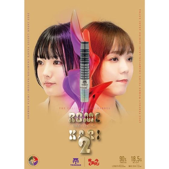 TRiNiDAD x Ryu ROMEKARI2 岩田夏海 × 大城明香利 (Natsumi Iwata × Akari Oshiro) Model  [2BA]