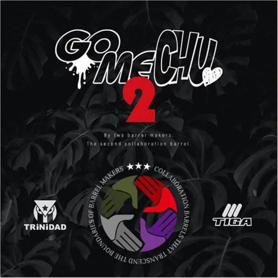TIGA×TRiNiDAD GOMECHU FUSION 2BA