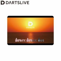 "Card" DARTSLIVE CARD #048-No.11