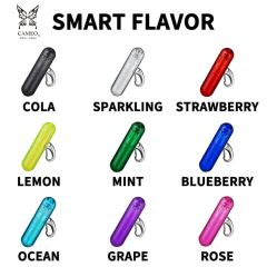 CAMEO Tip & Shaft Case SMART FLAVOR