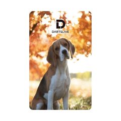 DARTSLIVE CARD #055-No.6