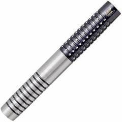 "TARGET" RVB G3 Raymond van Barneveld Model 20g [2BA] (Back-order)