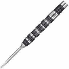 "TARGET" DVB 80 G1 SWISS POINT 22g DIMITRI VAN DEN BERGH Model [STEEL] (Back-order)