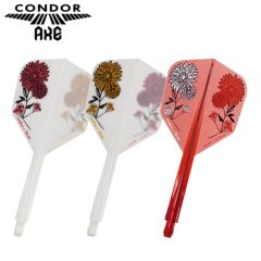 TRiNiDAD CONDOR AXE GERBERA & STATICE 近藤静加 (Shizuka Kondo) Model [Shape]